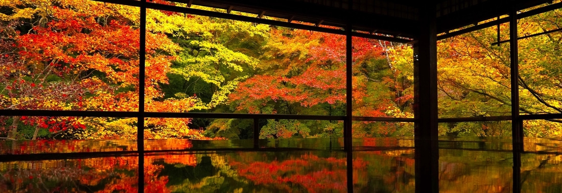 Autumn colours at Rurikouin temple in Kyoto Japan